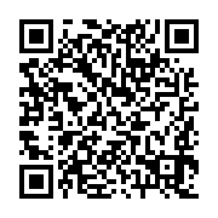 QR code for plate 25Z 593