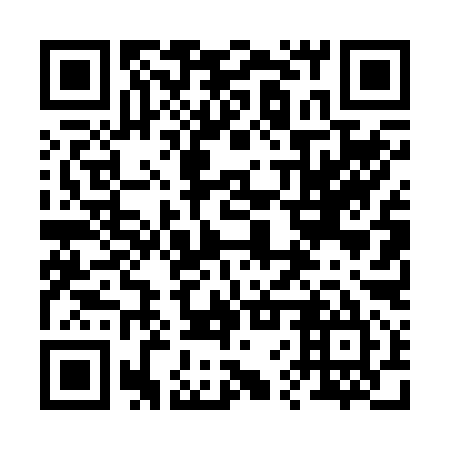 QR code for plate 26T 295