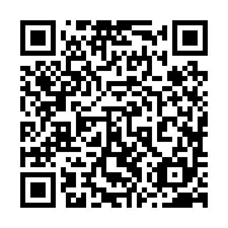 QR code for plate 27Z 295