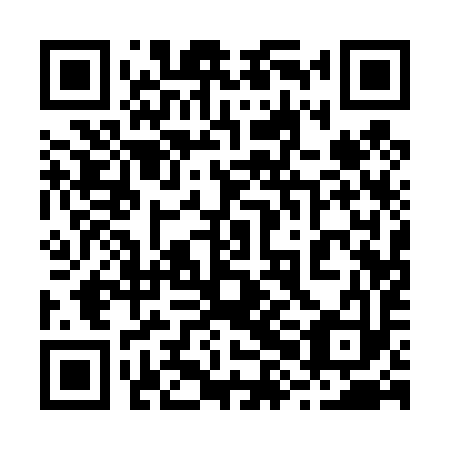 QR code for plate 28A 493