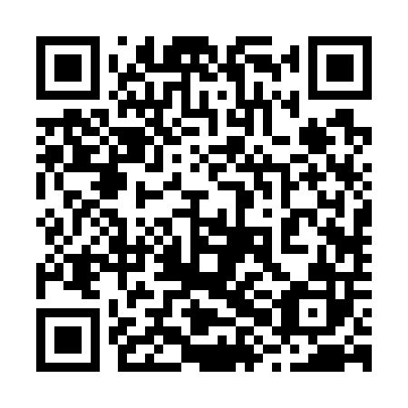 QR code for plate 28B 702