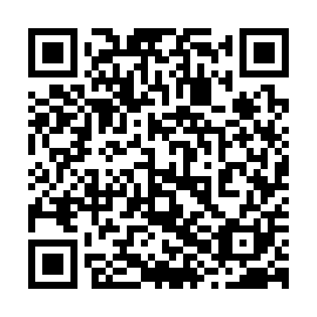 QR code for plate 28G 301