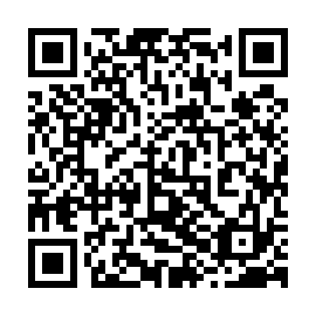 QR code for plate 28I 533