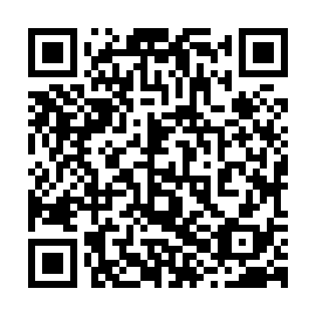 QR code for plate 28J 838
