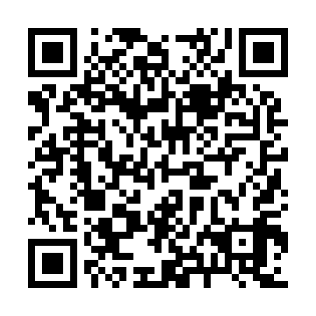 QR code for plate 28J 919
