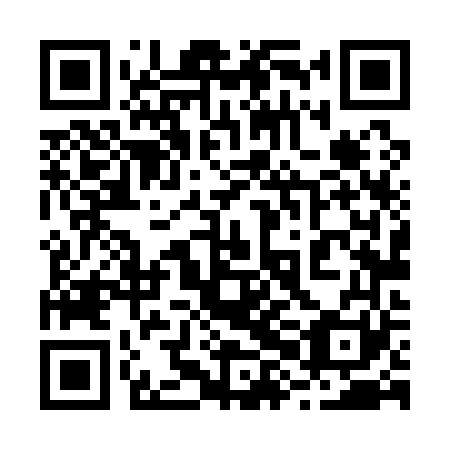 QR code for plate 28L 161