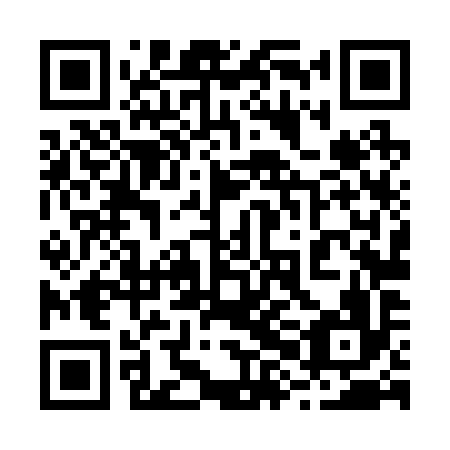 QR code for plate 28L 296