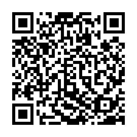 QR code for plate 28N 538