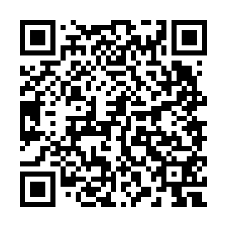 QR code for plate 28N 650