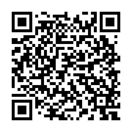 QR code for 28P 382
