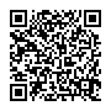 QR code for 28P 384