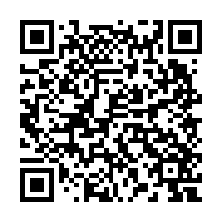 QR code for 28P 646