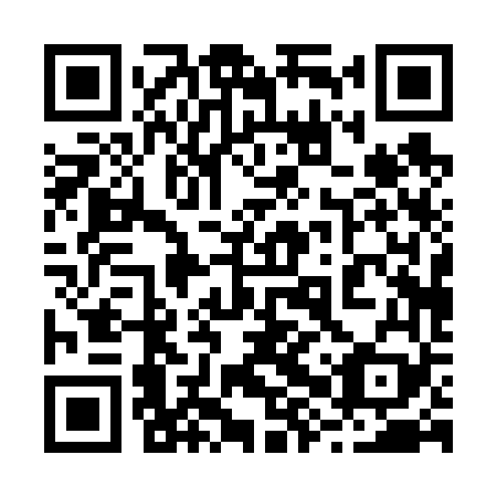 QR code for 28P 669