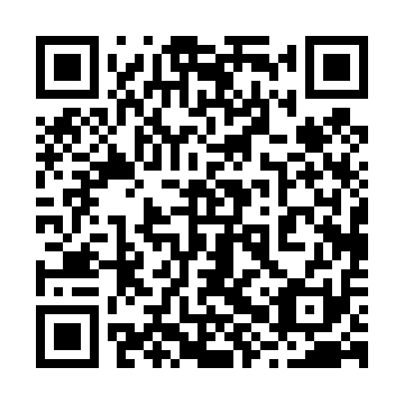 QR code for 28P411