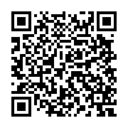 QR code for plate 28R 005
