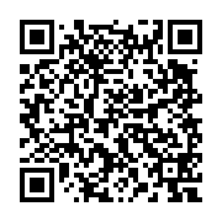 QR code for plate 28R 498