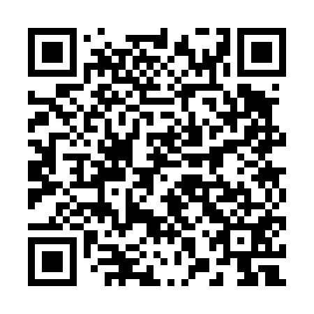 QR code for plate 28S 451