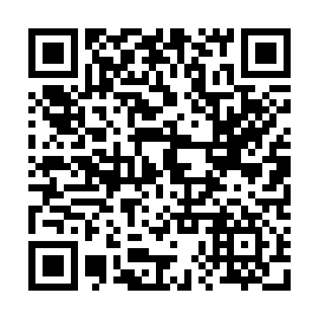 QR code for plate 28T 317
