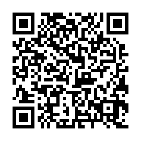 QR code for plate 28W 232