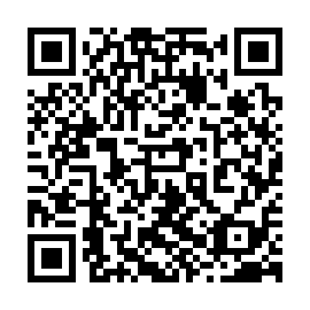 QR code for plate 28W 319