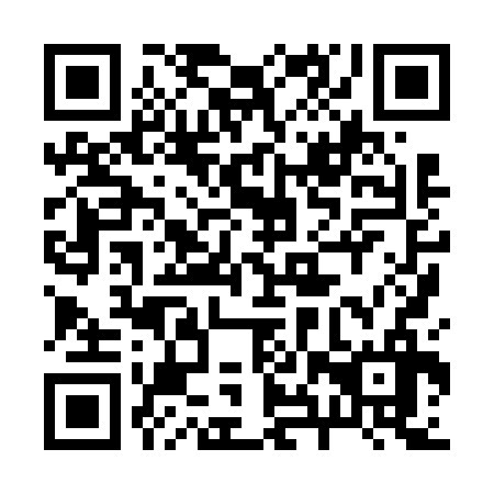 QR code for plate 28X 636