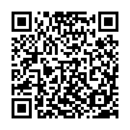 QR code for 28Z 295