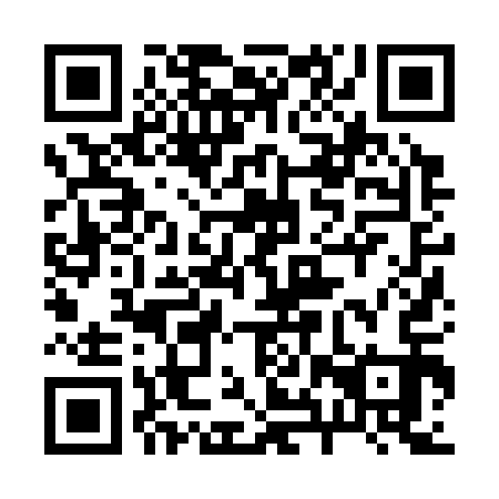 QR code for 28Z 313