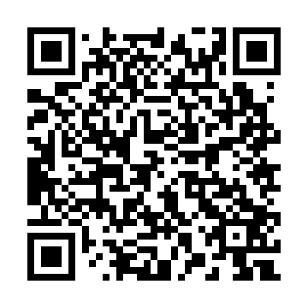 QR code for plate 28Z 303