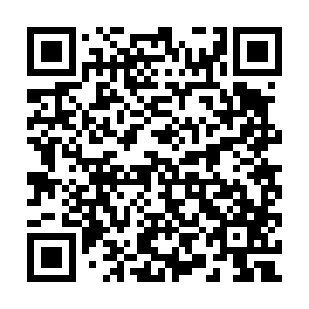 QR code for plate 29B 487