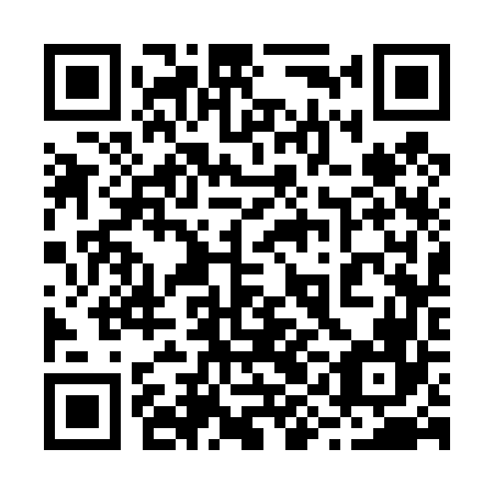 QR code for 29C466