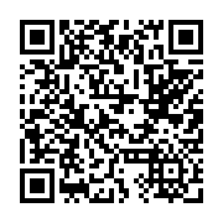 QR code for plate 29D 636