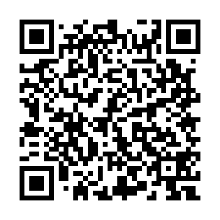 QR code for plate 29E 118