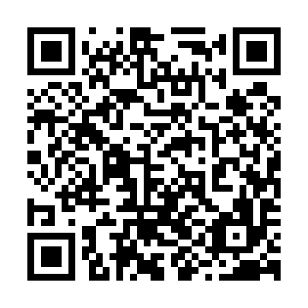 QR code for plate 29E 596