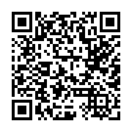 QR code for 29E991