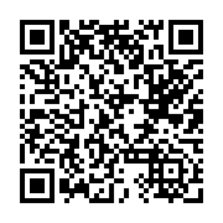QR code for 29F 953