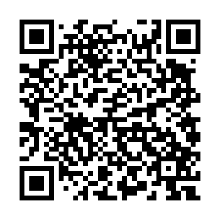 QR code for 29F407