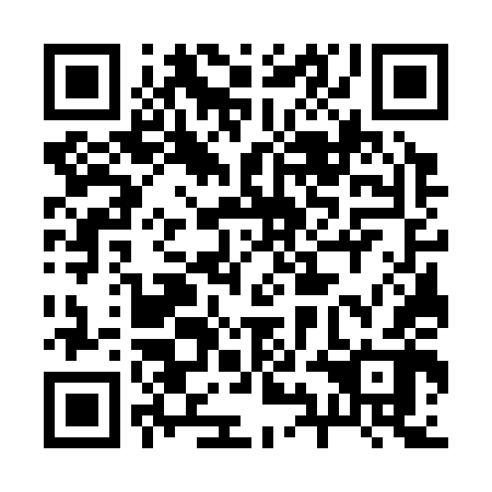 QR code for 29G 342