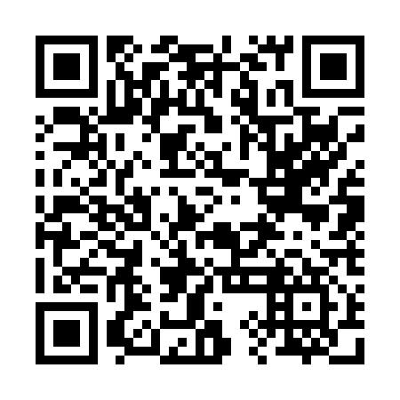 QR code for plate 29G 017