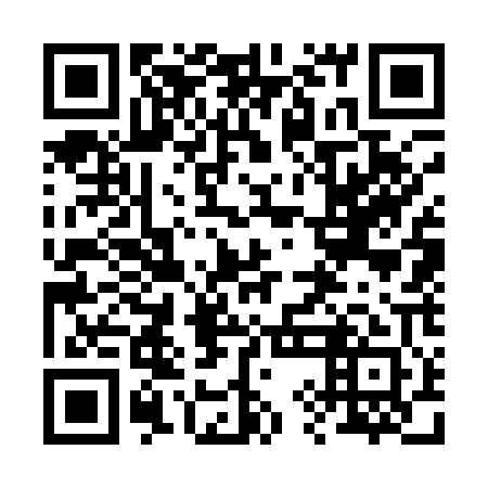 QR code for plate 29G 101