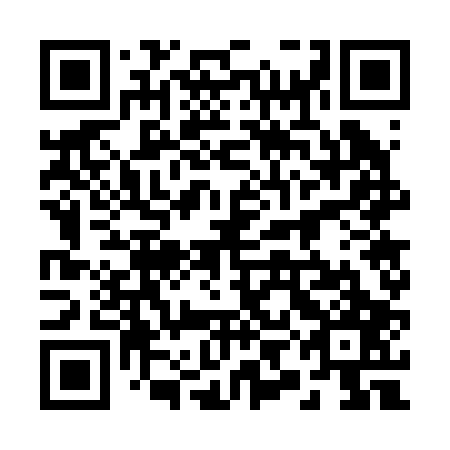 QR code for plate 29G 207
