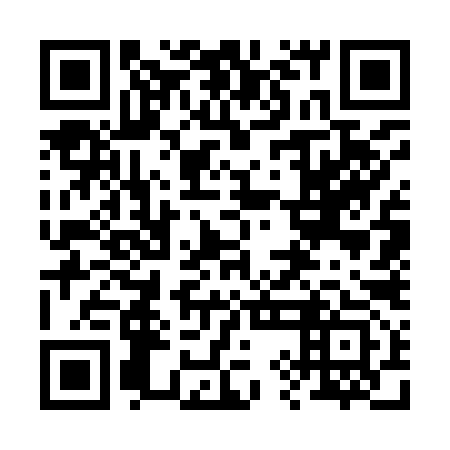 QR code for plate 29G 993