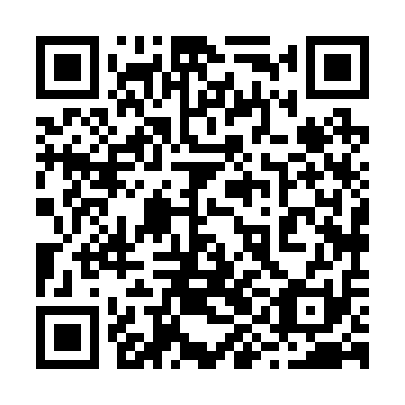 QR code for plate 29H 211