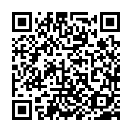QR code for plate 29H 369