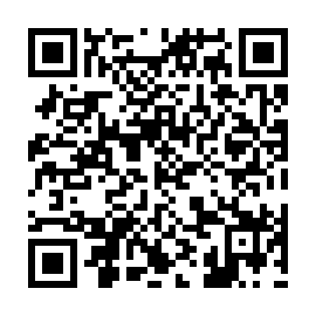 QR code for plate 29H 399