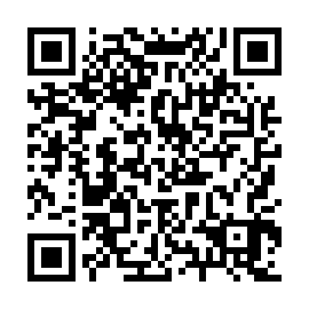 QR code for 29H503