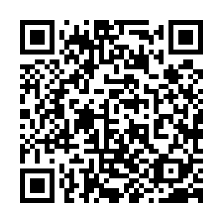 QR code for 29H529