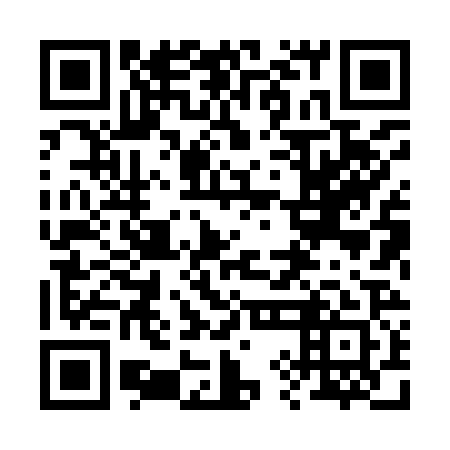 QR code for plate 29H 921