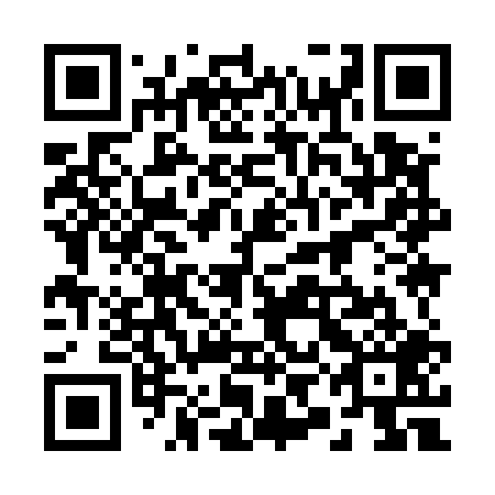 QR code for 29I 509
