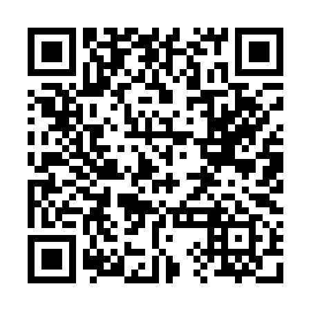 QR code for 29I199
