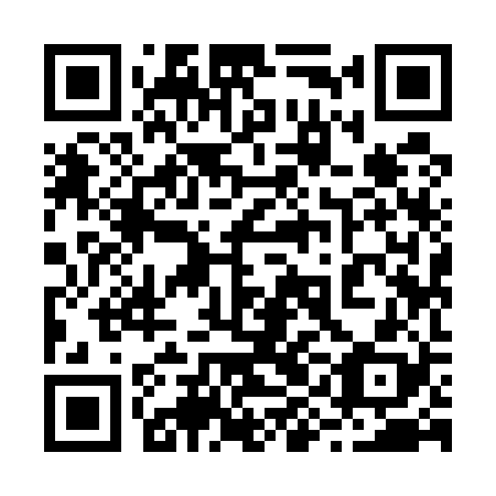QR code for plate 29I 528